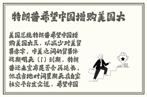 丰满的 子3理论